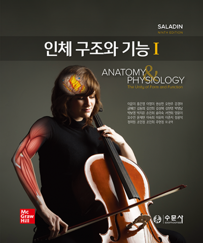 인체 구조와 기능 I, II, 워크북 세트