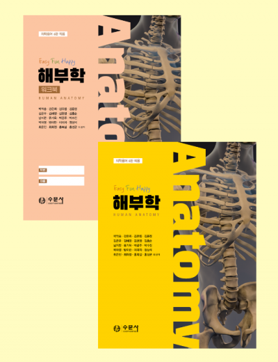 해부학 세트